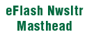 eFlash Newsletter Masthead